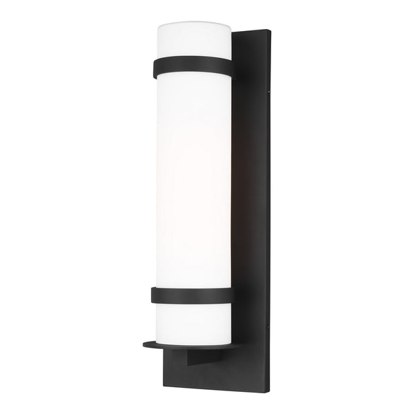 Alban One Light Outdoor Wall Lantern in Black Finish