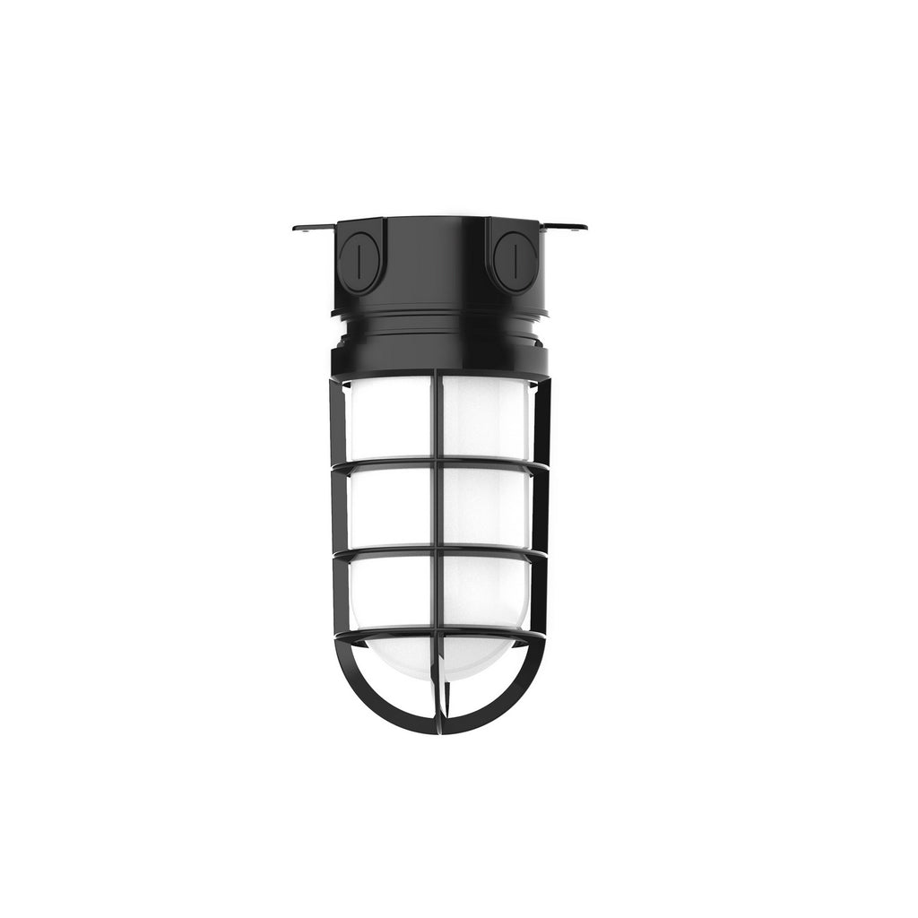 Montclair Light Works - FMC050-41 - One Light Flush Mount - Vaportite - Black