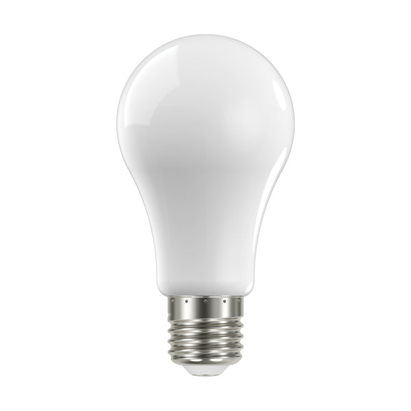 Light Bulb in Soft White Finish