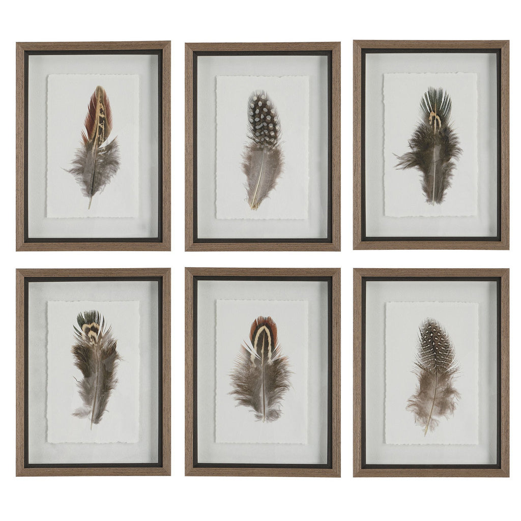 Uttermost - 41460 - Framed Prints, S/6 - Birds Of A Feather - Natural Wood Tone
