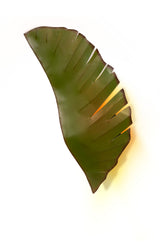 Varaluz - 901K02 - Two Light Wall Sconce - Banana Leaf - Banana Leaf