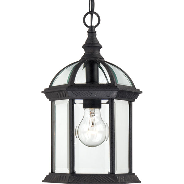 Boxwood One Light Hanging Lantern in Textured Black Finish