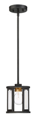 Nuvo Lighting - 60-6412 - One Light Mini Pendant - Payne - Black
