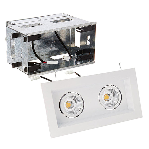Mini Led Multiple Spots LED Two Light Remodel Housing with Trim and Light Engine