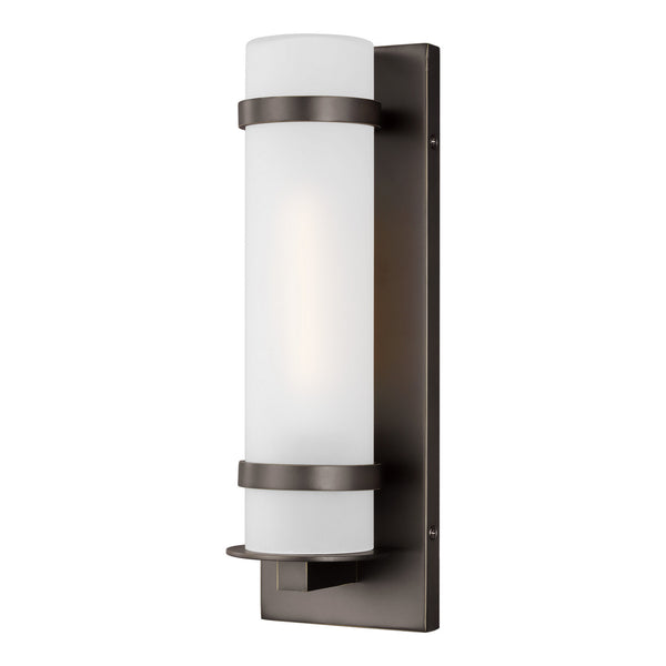 Alban One Light Outdoor Wall Lantern in Antique Bronze Finish